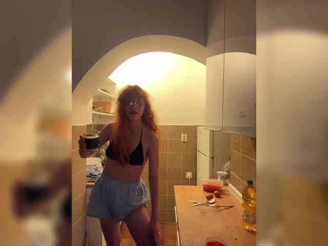 tiksie webcam