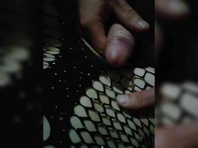 Sexualpara2024 webcam