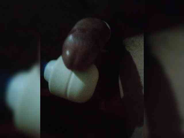 Sexualpara2024 webcam