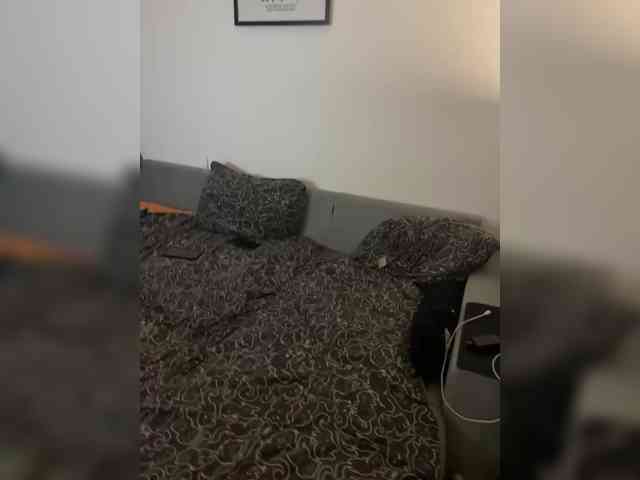 free videochat AlexMir69