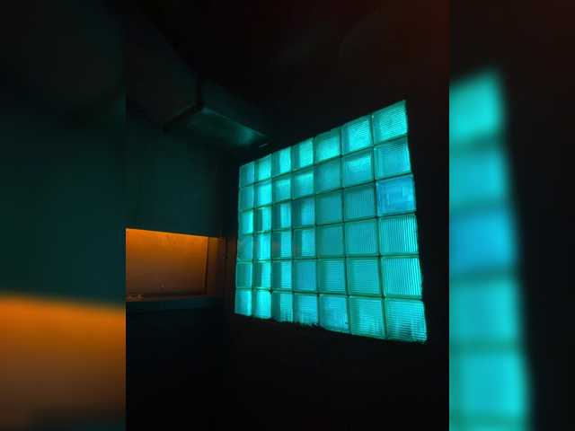 Vivinumero3