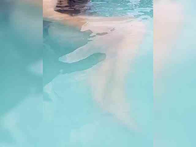 Gen90 Live Webcam on BongaCams