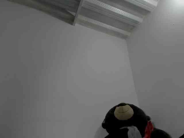 Gianahomi webcam