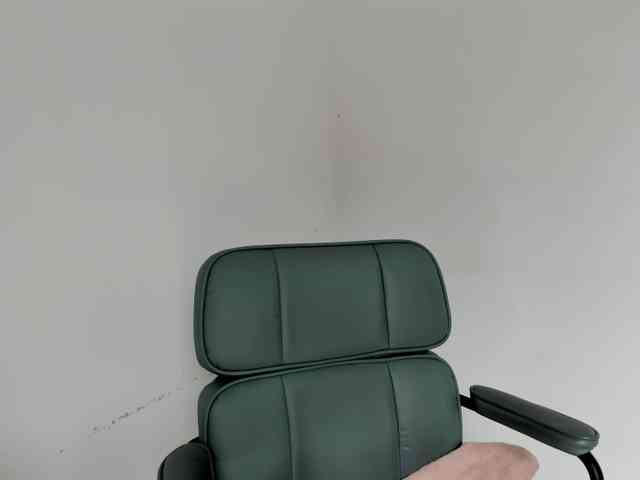 Gianahomi webcam