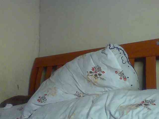 Ecstasyxo webcam