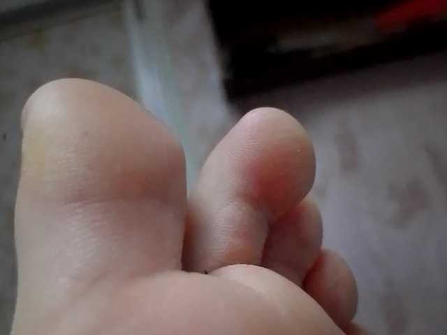 ReversoContex preview