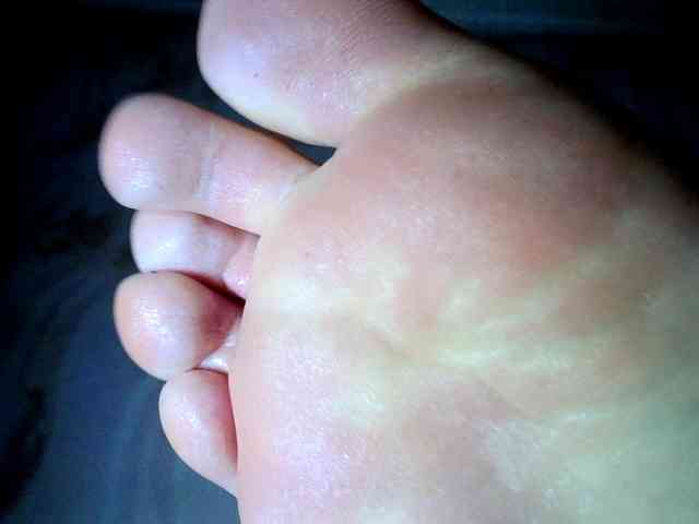 ReversoContex webcam