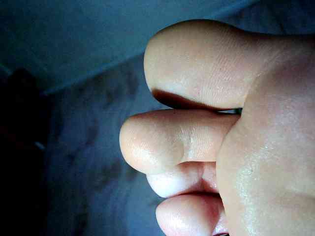 ReversoContex webcam