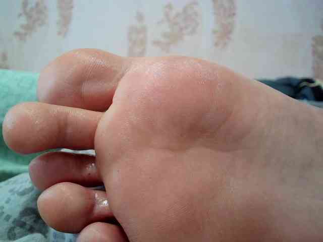 ReversoContex webcam