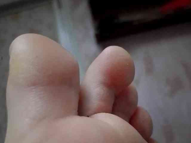 ReversoContex webcam