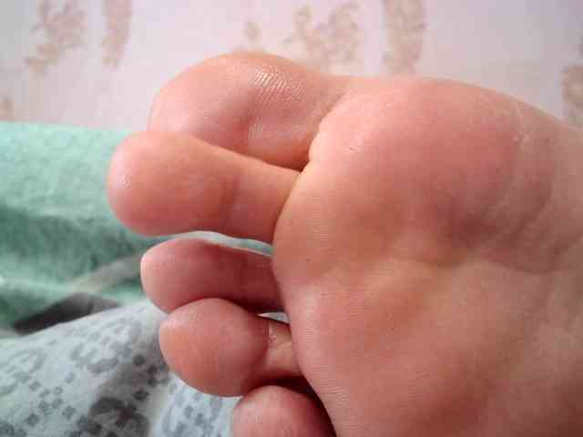 ReversoContex webcam