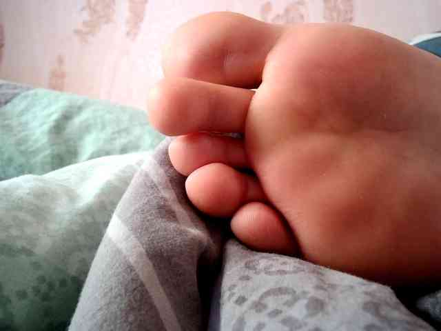 ReversoContex webcam