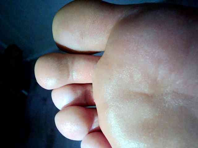 ReversoContex webcam