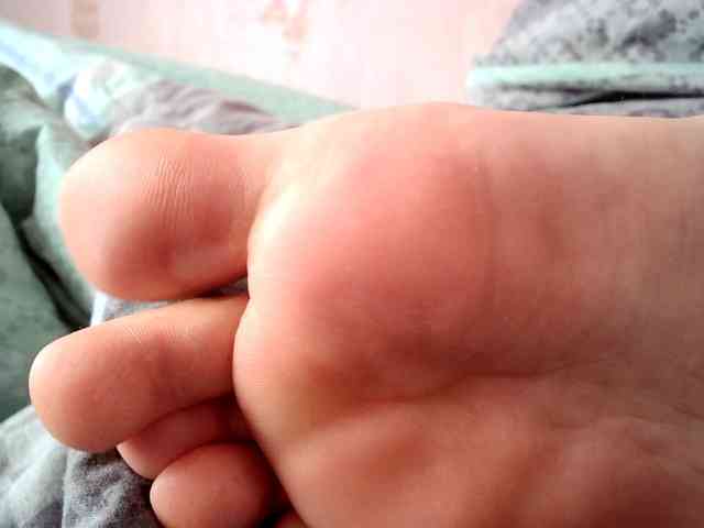 ReversoContex webcam