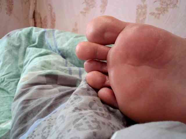 ReversoContex webcam