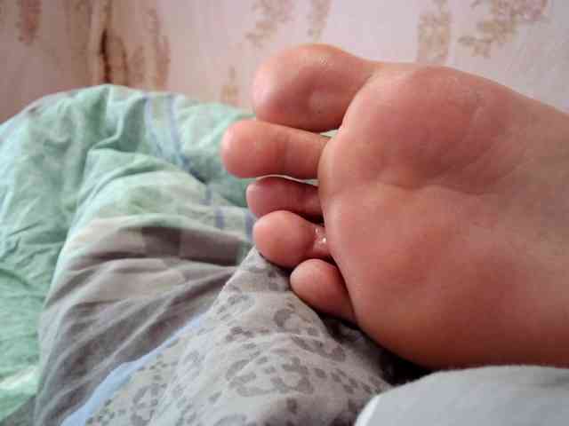 ReversoContex webcam