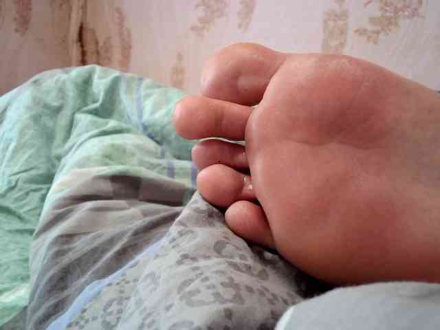 ReversoContex webcam