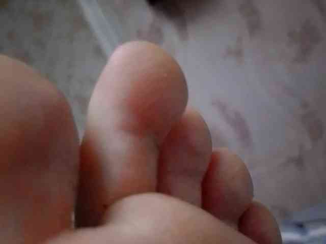 ReversoContex webcam