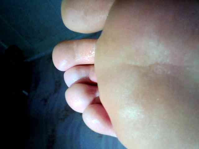 ReversoContex webcam