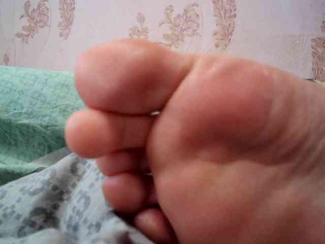 ReversoContex webcam