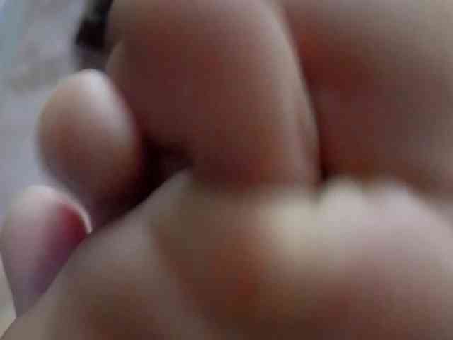 ReversoContex webcam