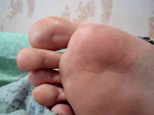 ReversoContex webcam