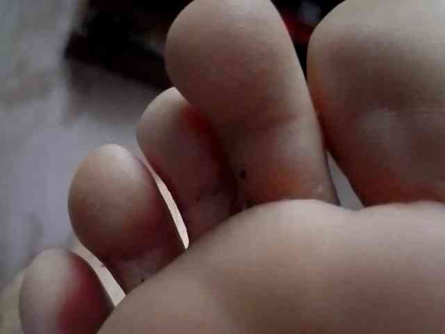 ReversoContex webcam