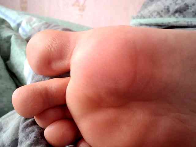 ReversoContex webcam