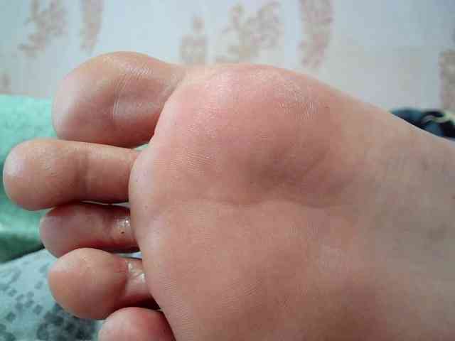 ReversoContex webcam