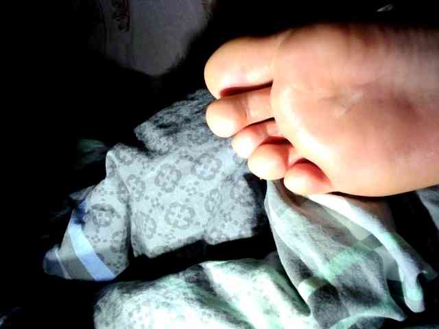 ReversoContex webcam