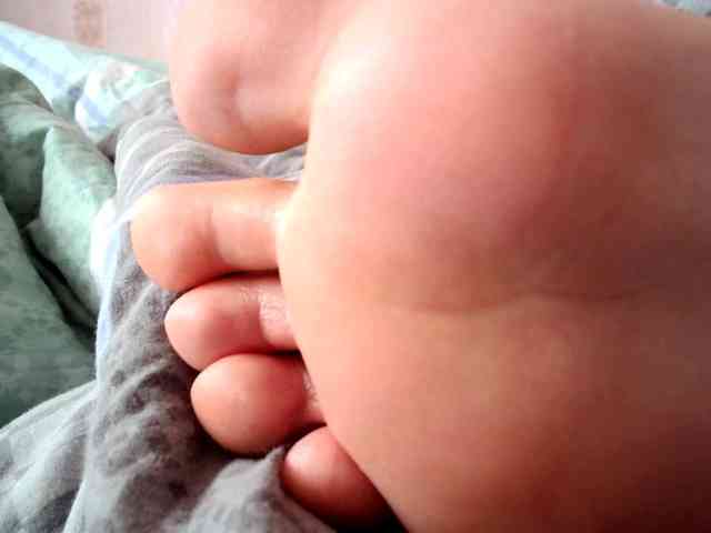 ReversoContex webcam