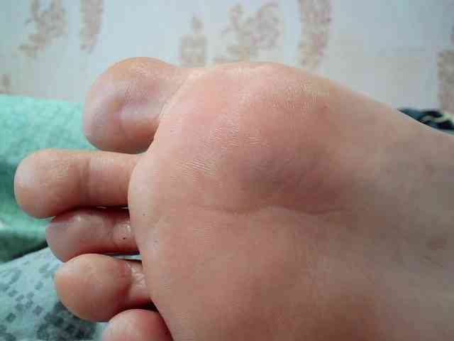 ReversoContex webcam