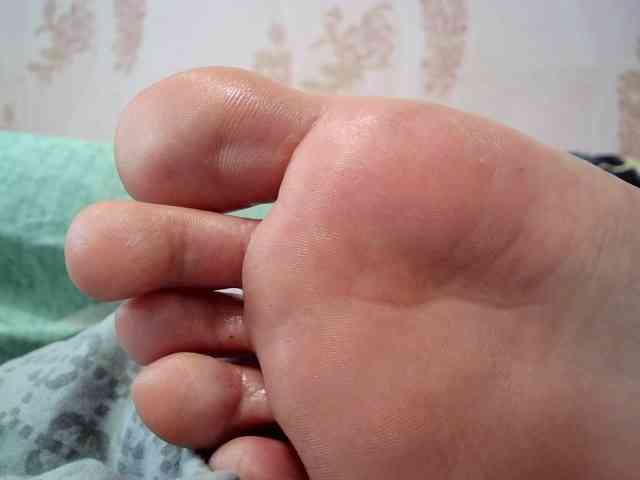 ReversoContex webcam