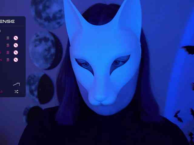 -VULPECULA- webcam