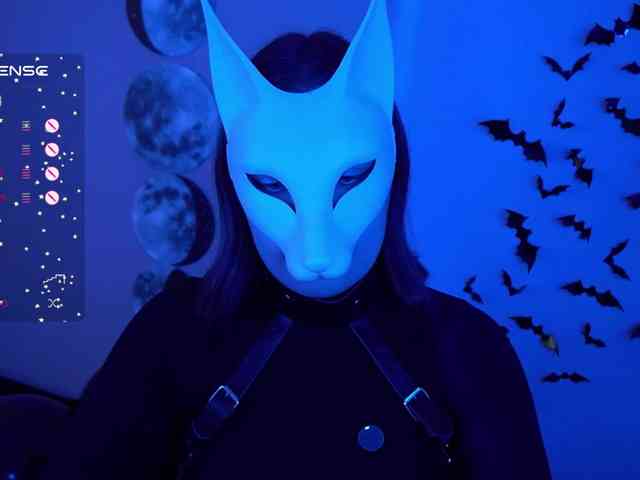 -VULPECULA- webcam