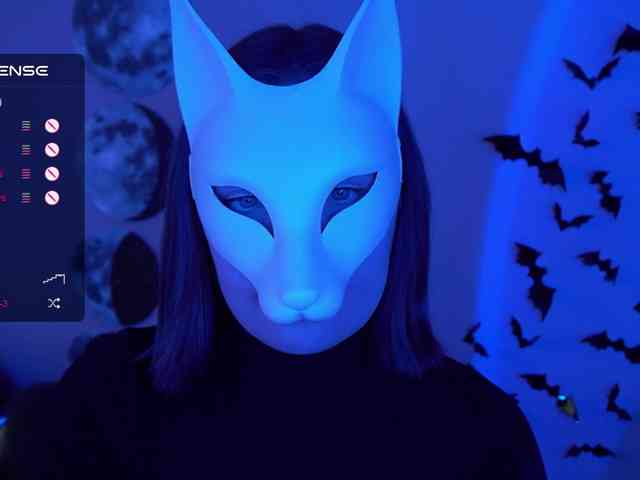 -VULPECULA- webcam