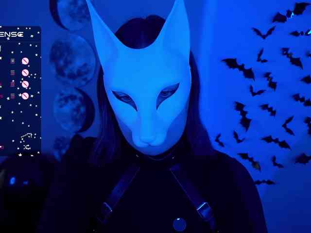 -VULPECULA- webcam
