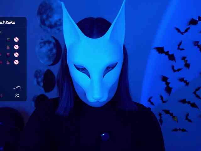 -VULPECULA- webcam