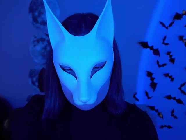 -VULPECULA- webcam