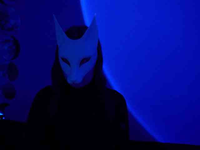 -VULPECULA- webcam