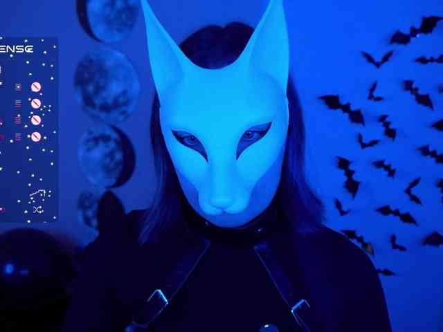 -VULPECULA- webcam