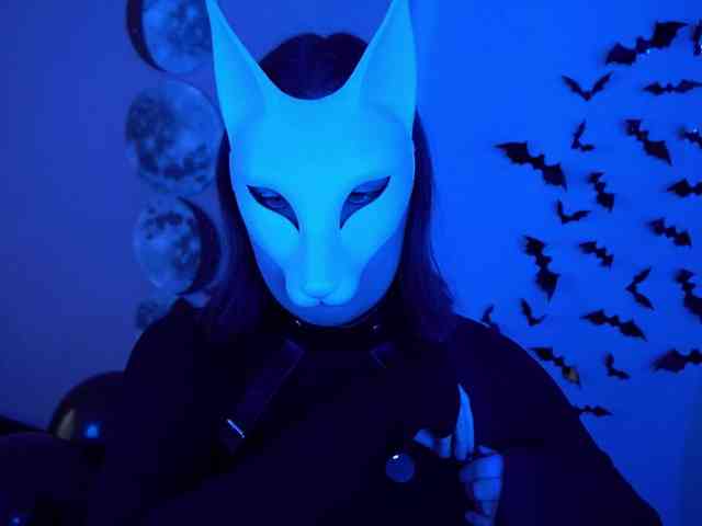 -VULPECULA- webcam