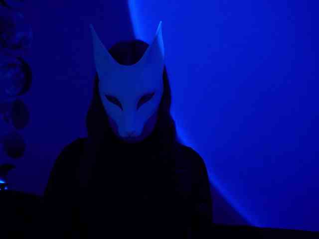 -VULPECULA- webcam