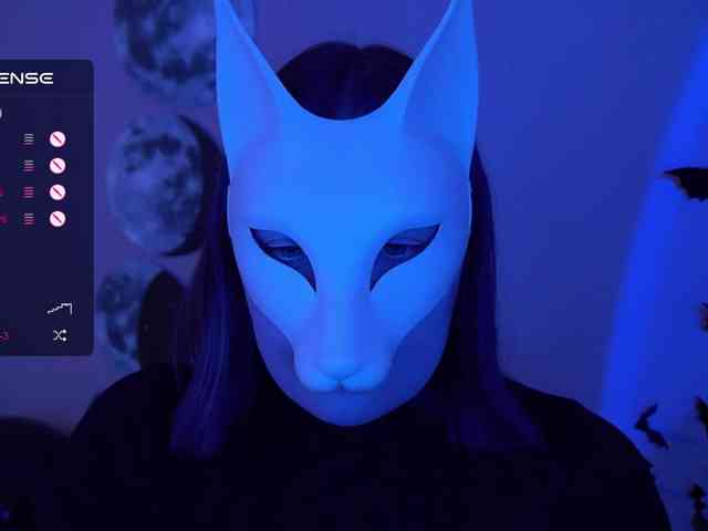 -VULPECULA- webcam