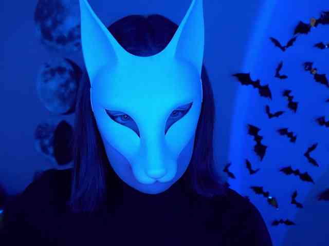 -VULPECULA- webcam