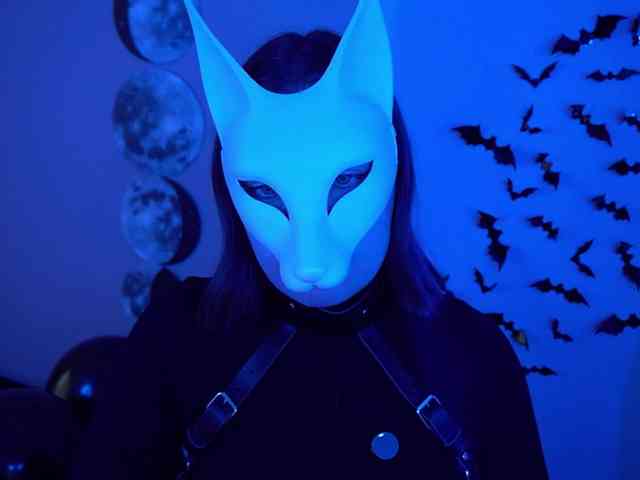 -VULPECULA- webcam