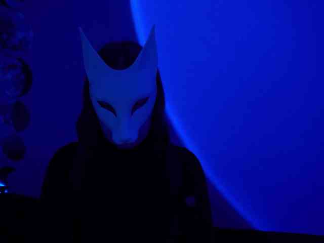 -VULPECULA- webcam