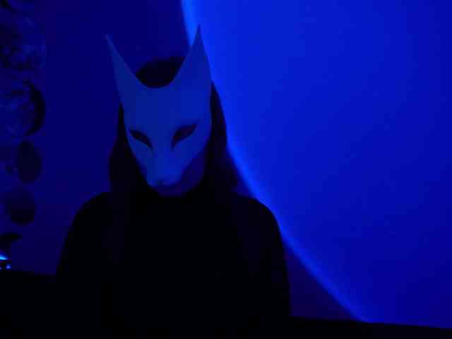 -VULPECULA- webcam