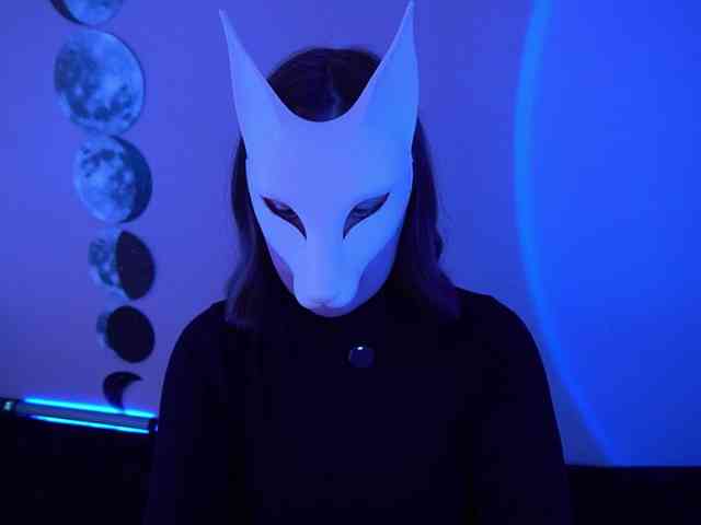 -VULPECULA- webcam
