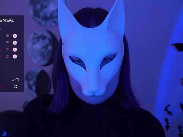 -VULPECULA- webcam